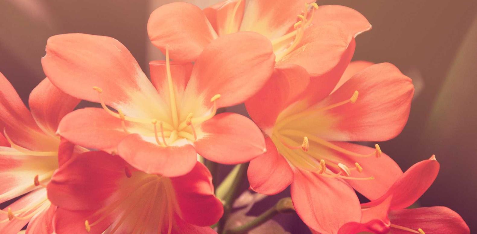 微信出售:道尔顿杂志账号注册