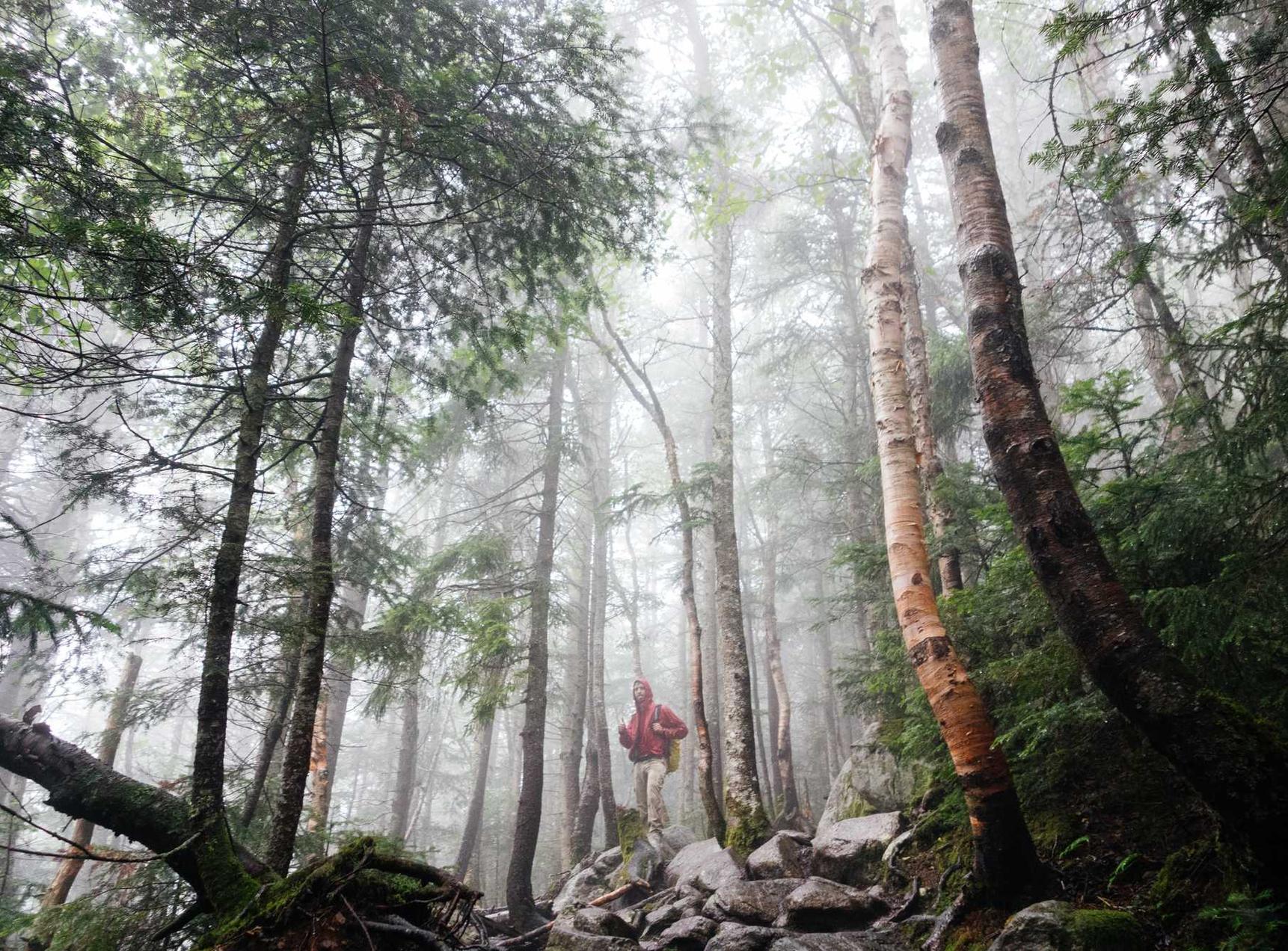 深度ip实名账号:实名账号的隐私泄露问题研究