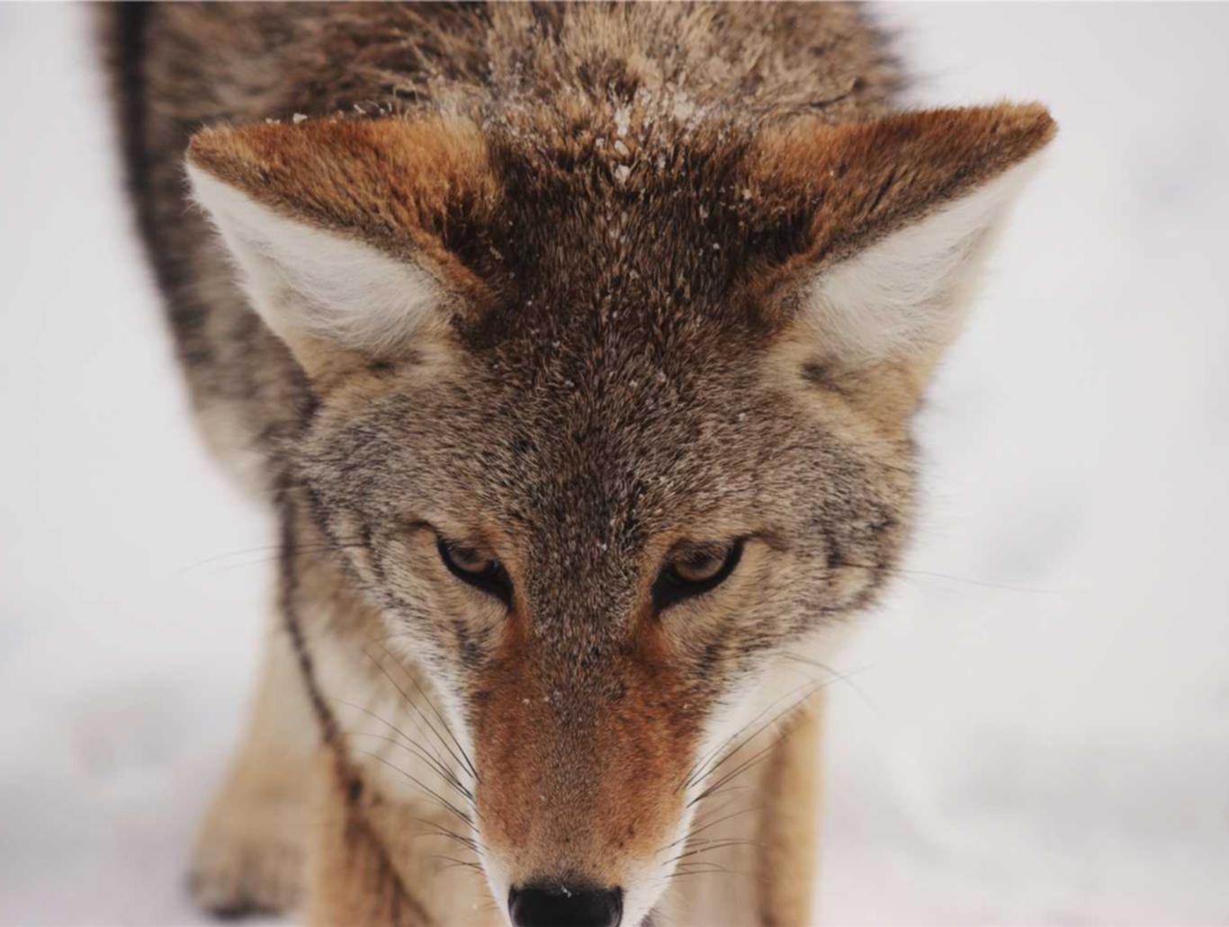 三国杀手游：资阳代理注册