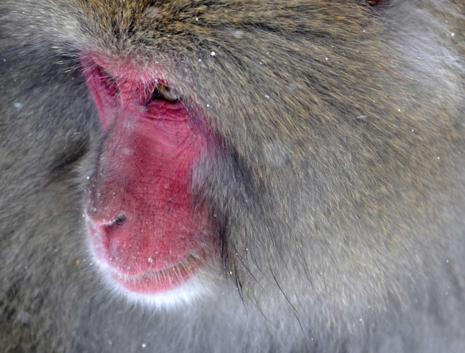 战神遗迹：新浪新闻app官网详情下载教程