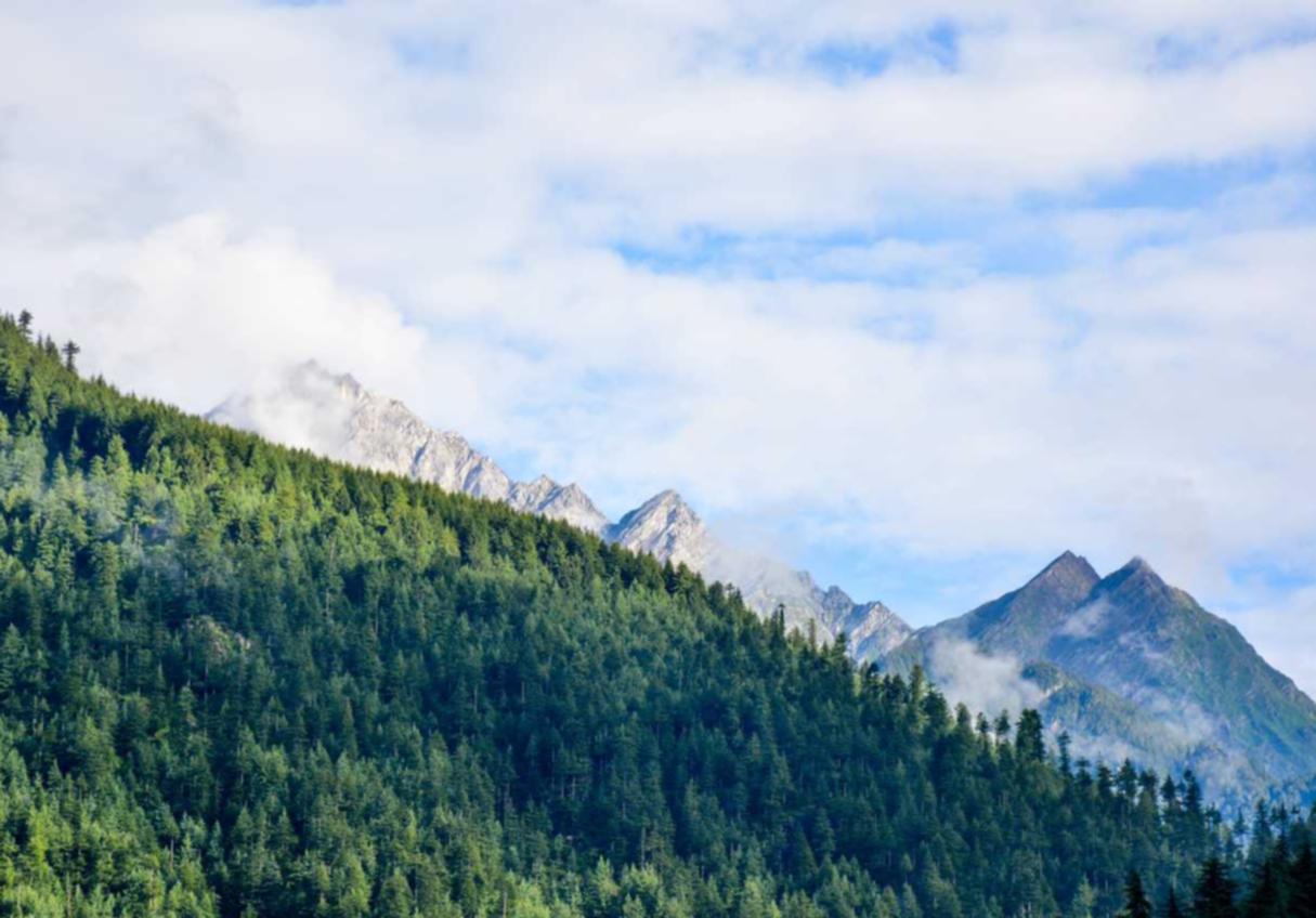 欧盟登喜路黑醇爆珠：正规项目规划平台怎么代理