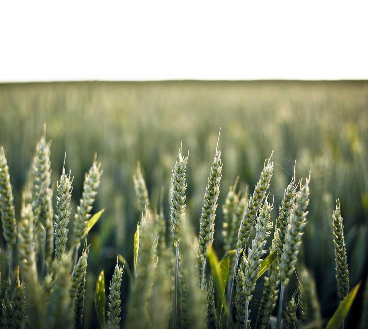 方盒欧盟扁蓝555：charles代理平台