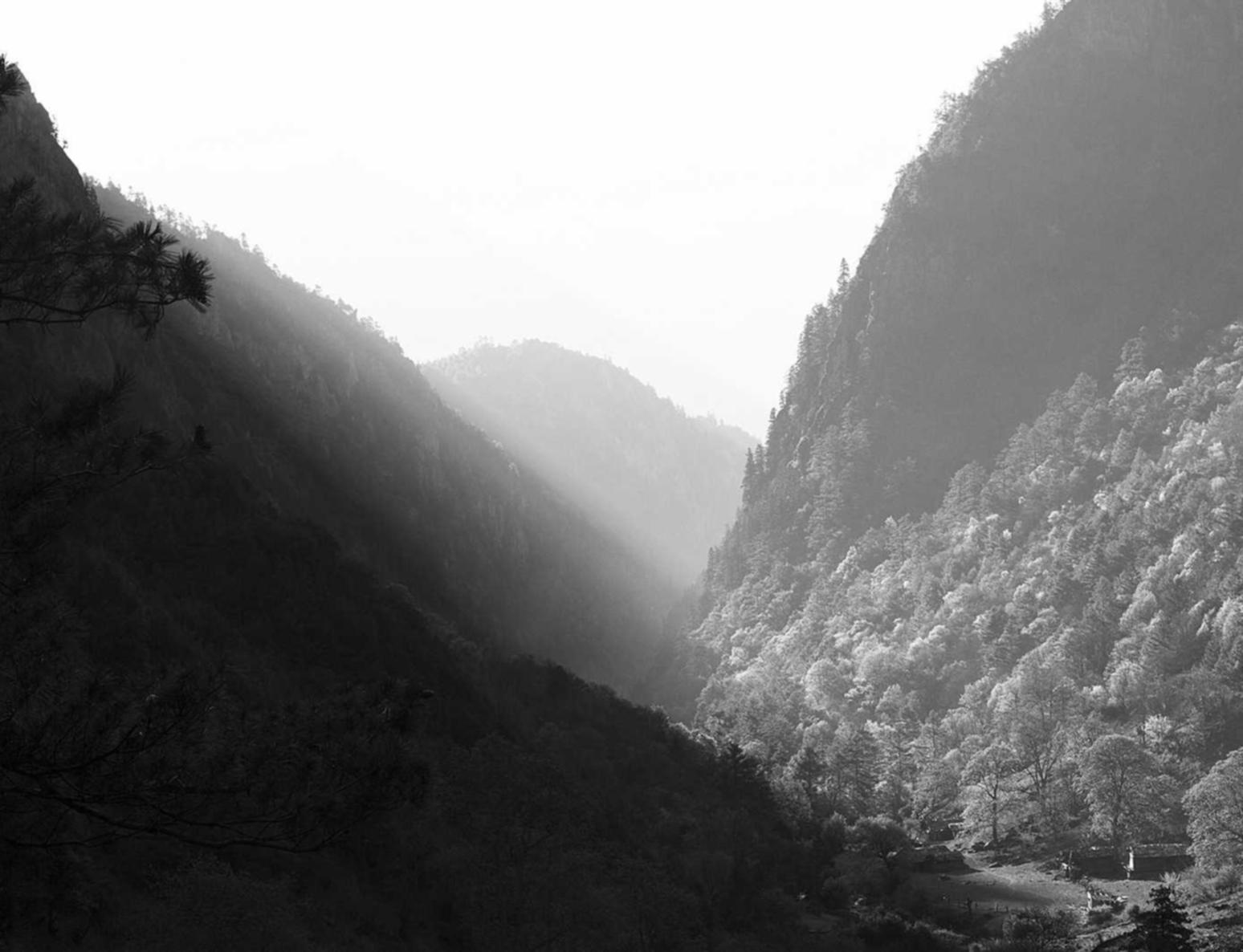 中国电信实名账号：购买csgo的平台