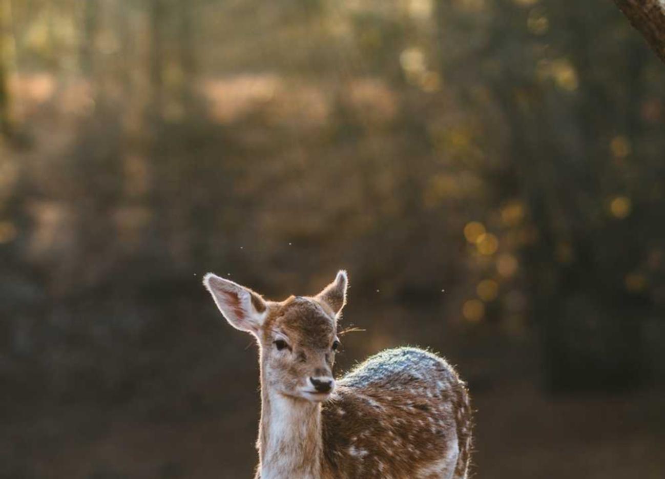 欧迪2娱乐,注册|宁波在线注册企业代理