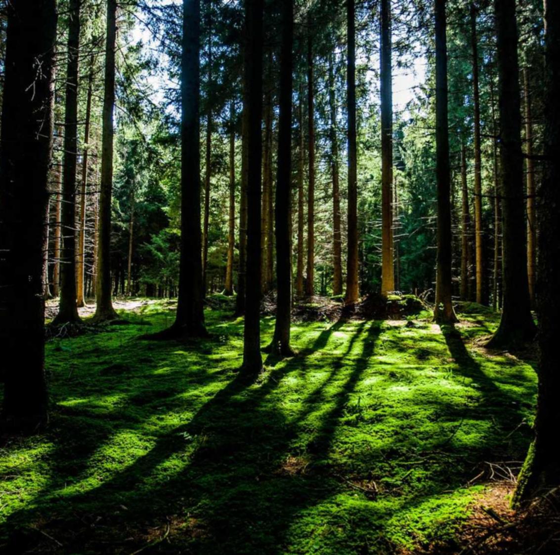 飞网ip实名账号:用户在实名制度下的革命性操作技巧