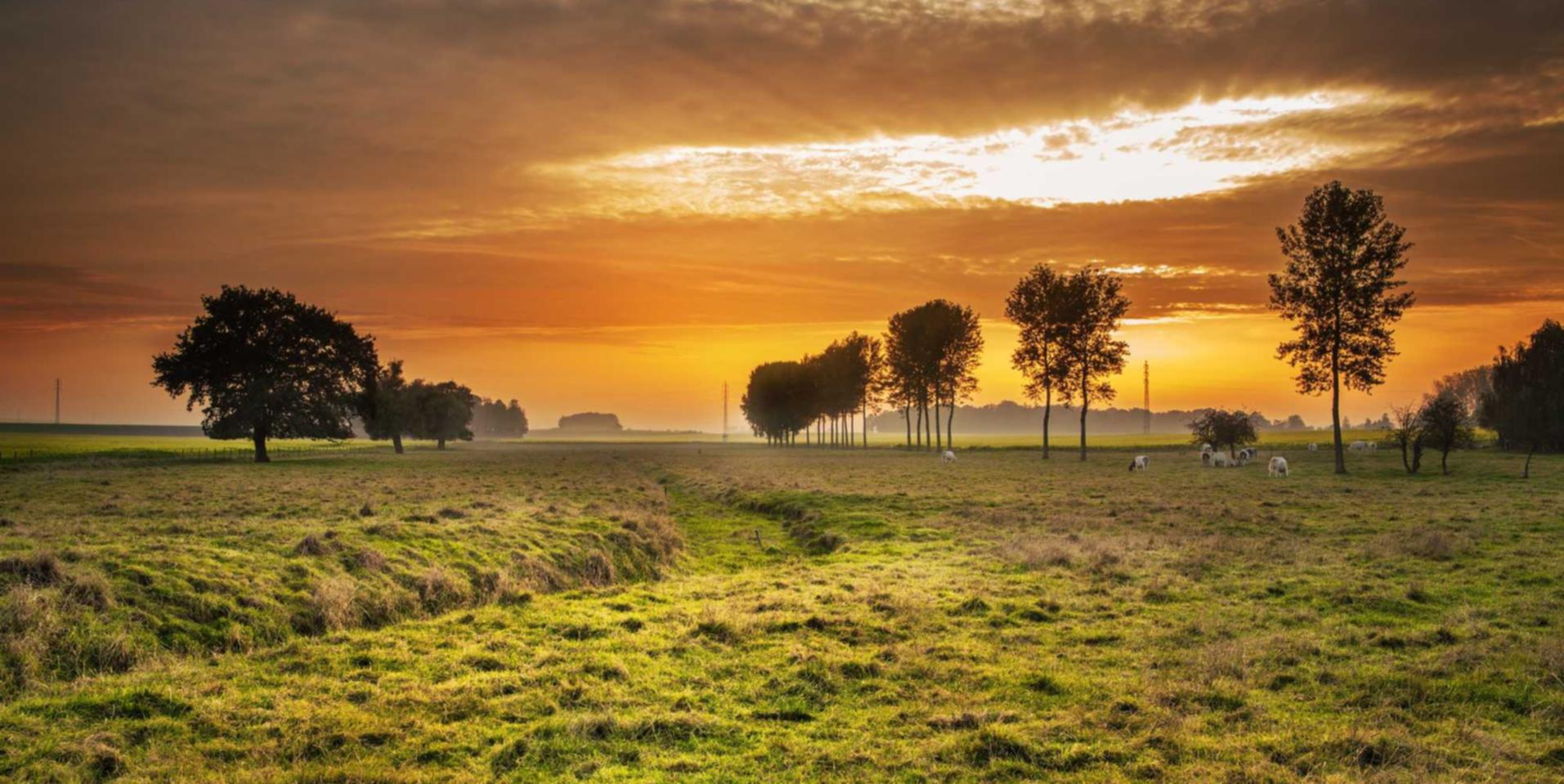 香烟的制造工艺