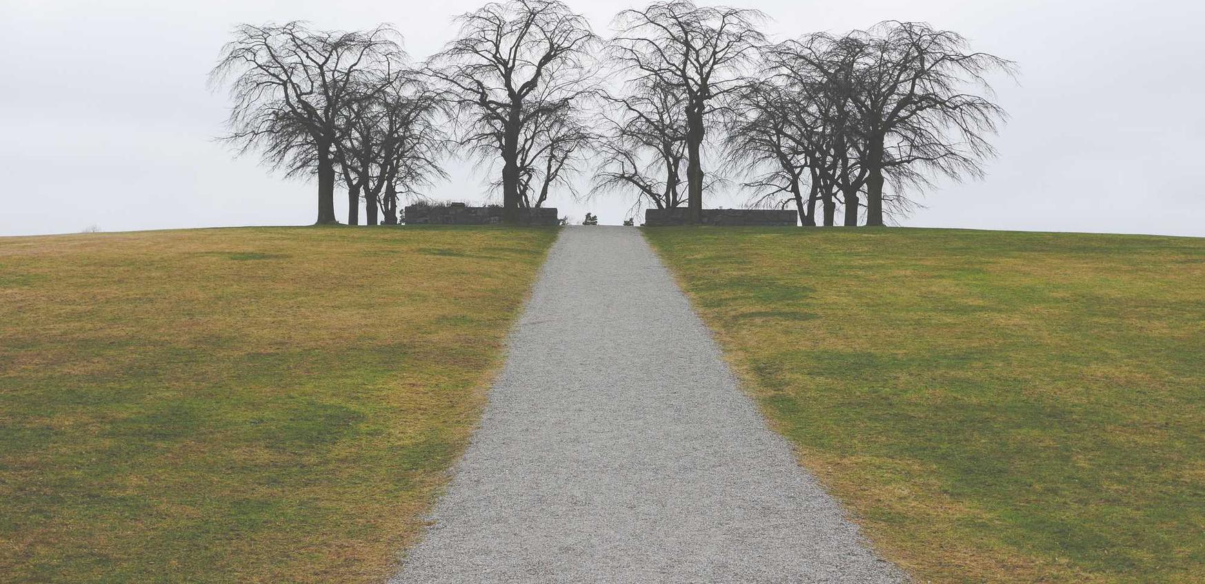 免费DDOS攻击平台|号卡注册代理