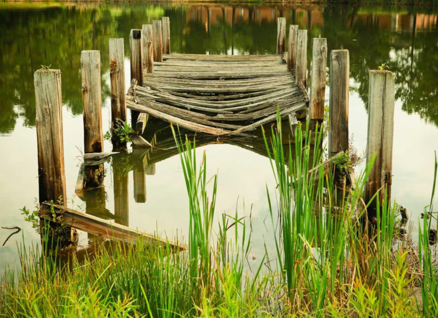 技术支持辅助的利弊与未来发展趋势展望