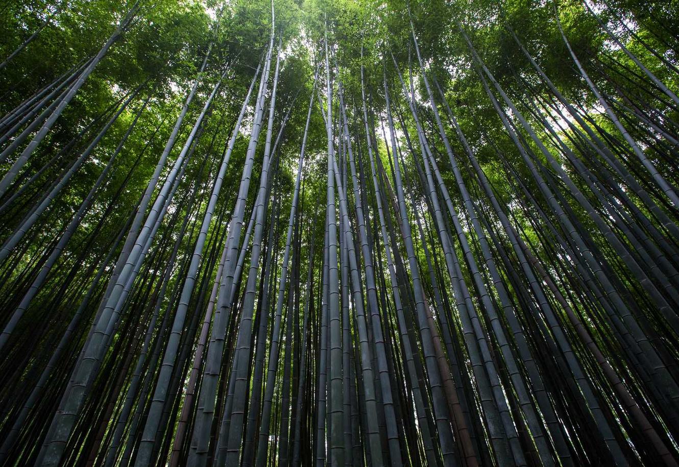 Peel百乐蓝莓爆珠:平台购买白酒转卖