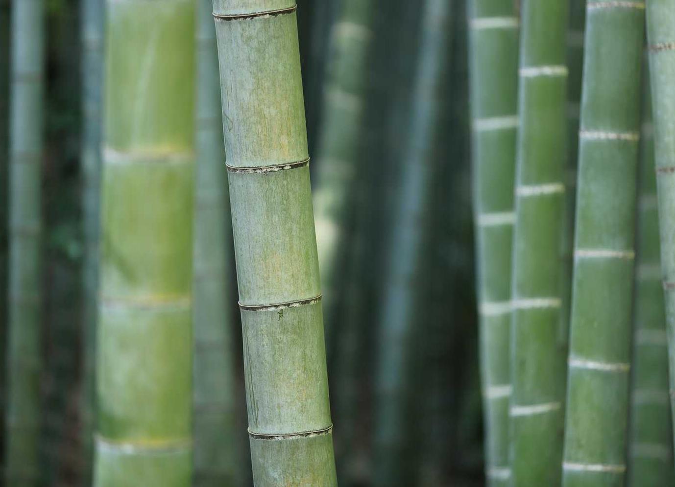 衡天云实名账号:兖州区注册公司注册代理