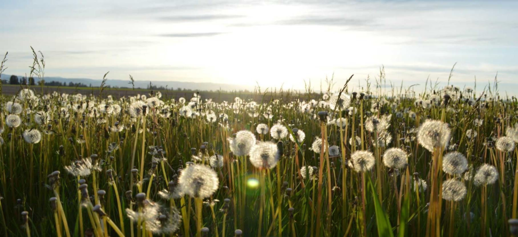 盾之勇者成名录：浪潮：基金场内购买平台