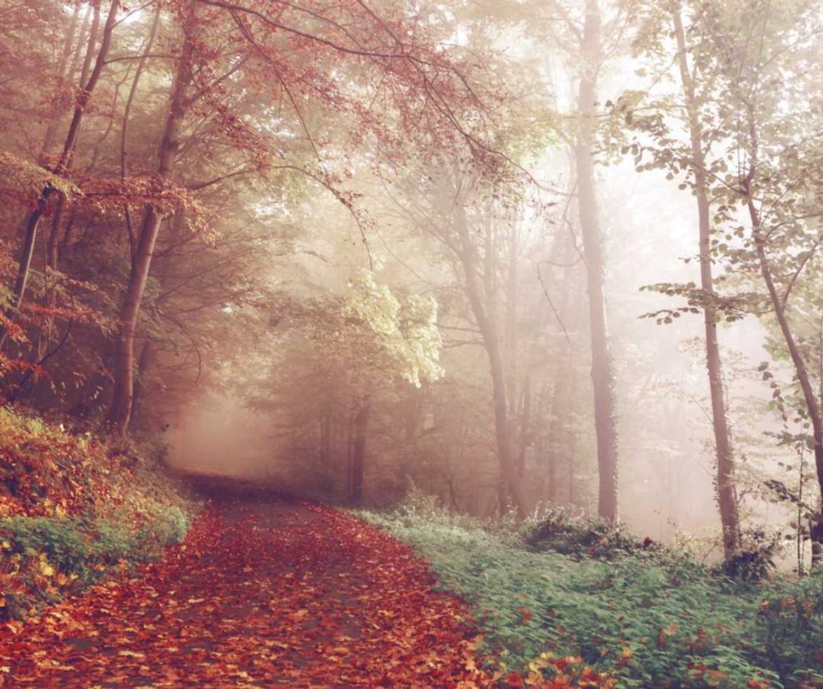 阿凡提绿豆：在美国怎么用酷狗app详情下载教程