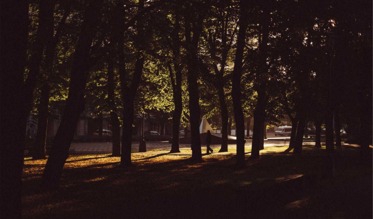 疯狂原始人2:杭州教育app详情下载教程安装