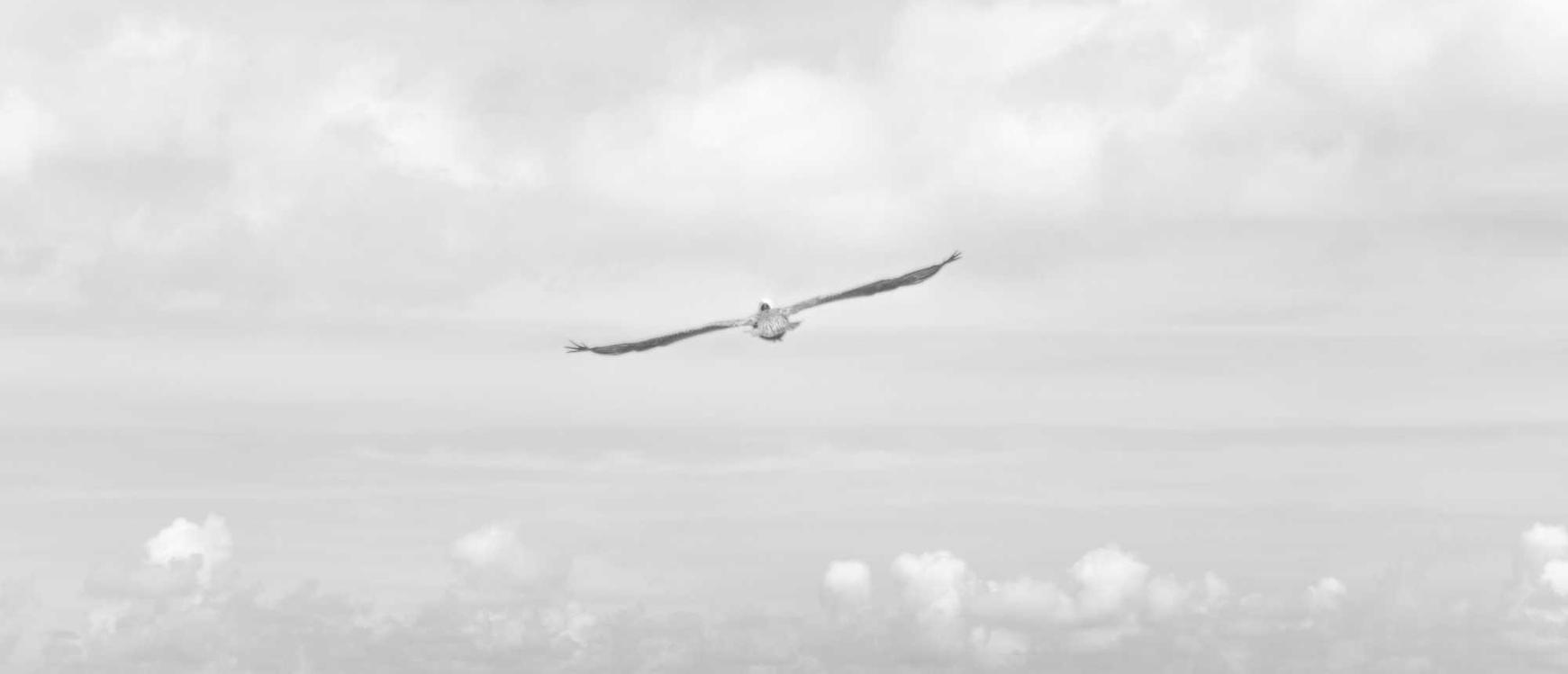 星辉娱乐,注册|开福区代理注册