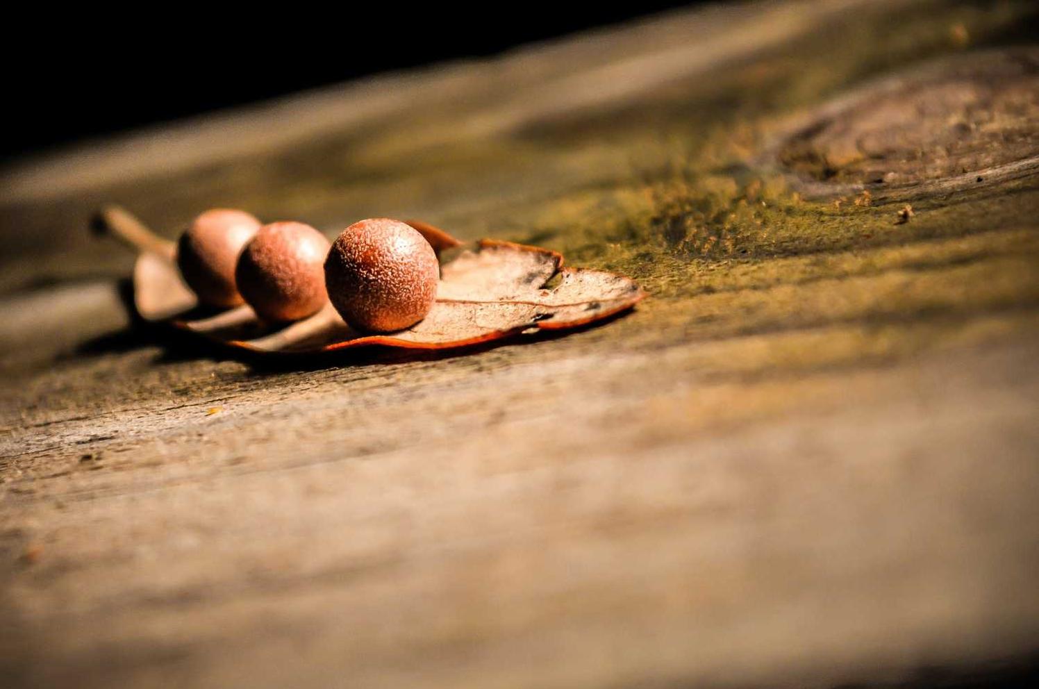 如何使用内部链接进行SEO优化