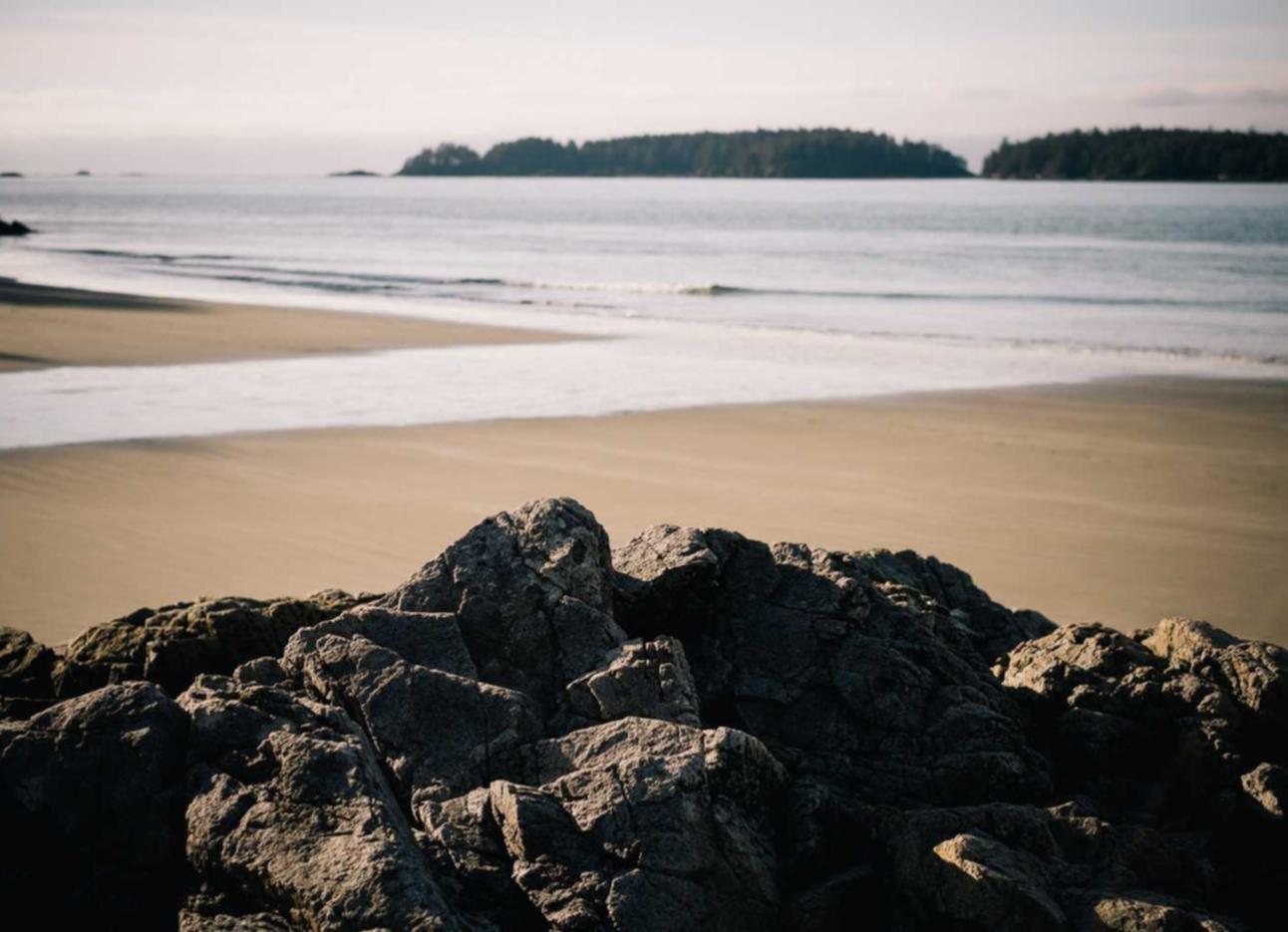 高希霸俱乐部2022限量版(20支/盒):斗鱼小号平台购买