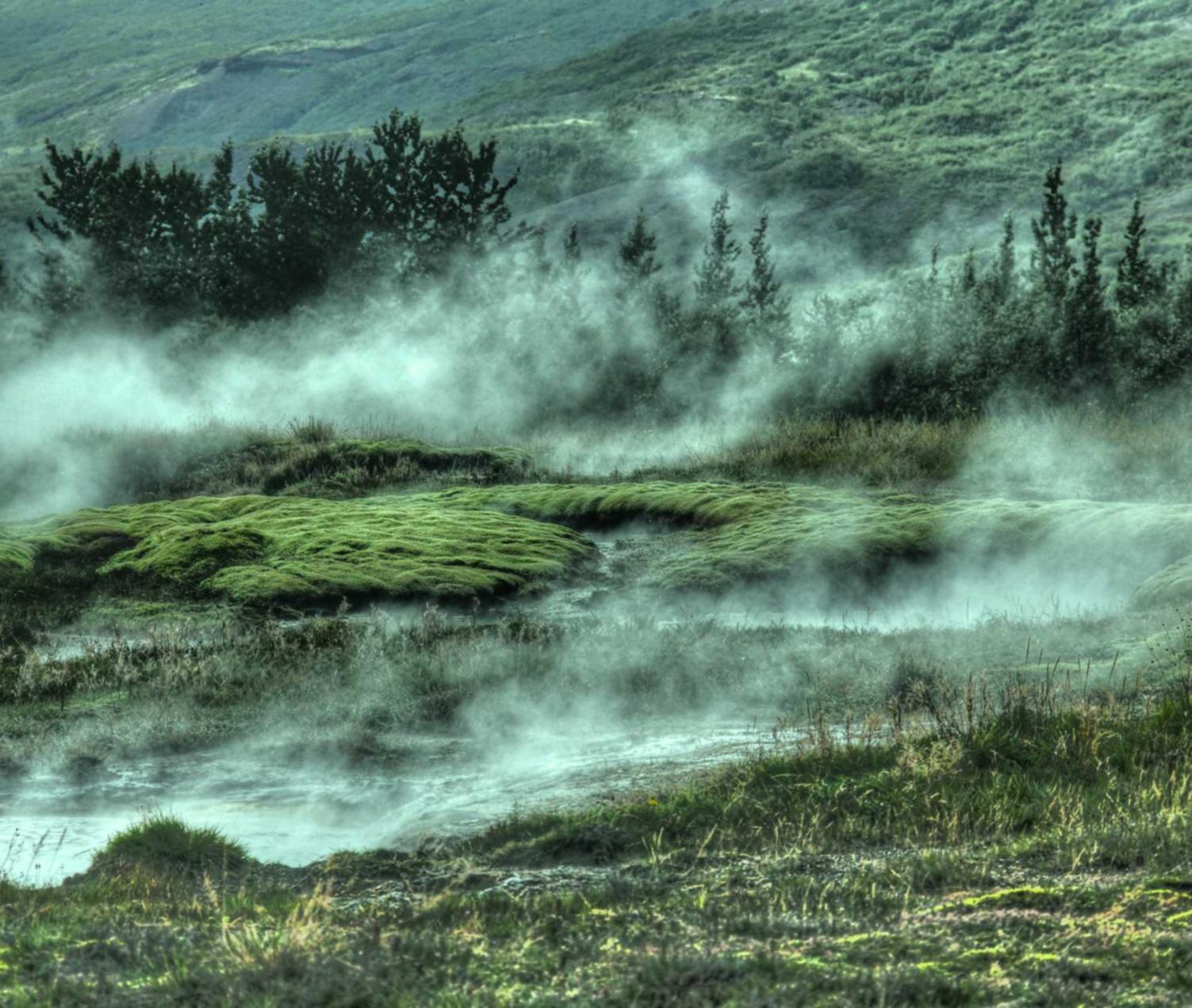 如何使用社交媒体提高SEO排名