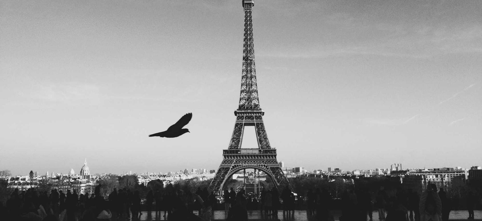 衡天云实名账号:美团商家版app详情下载教程