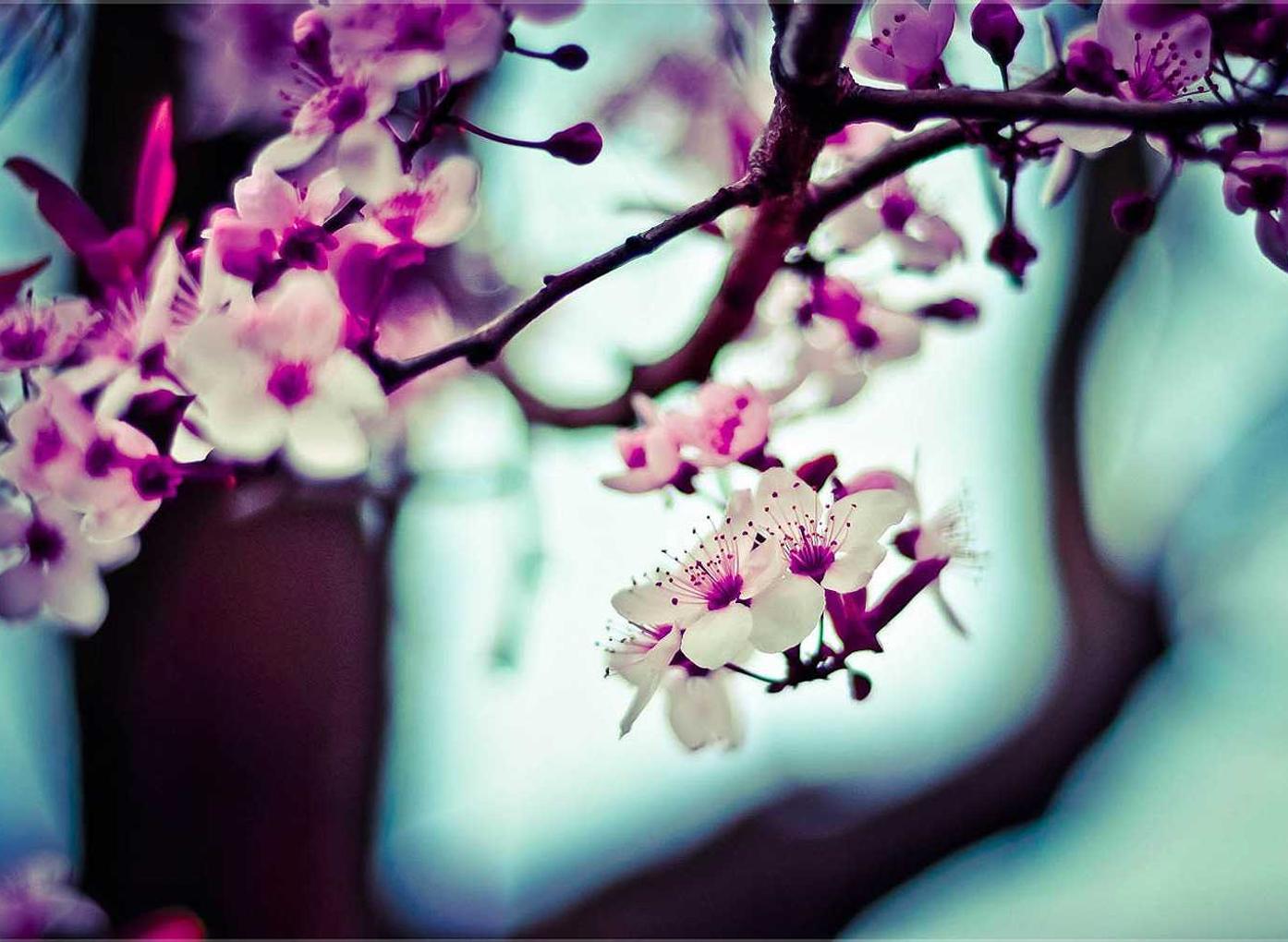 趣约会实名账号:355项目规划官方app安卓详情下载教程