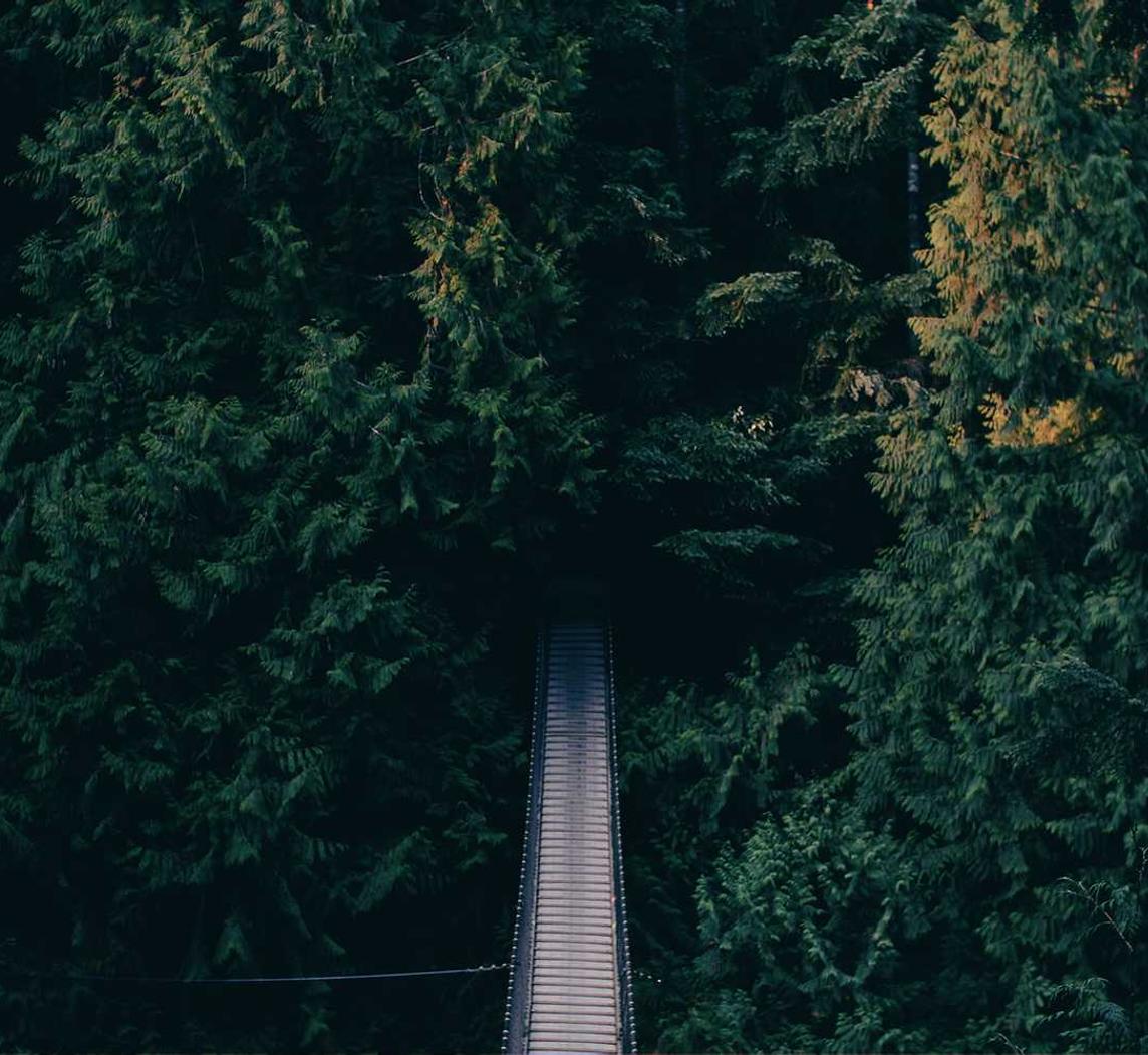 深度ip实名账号：实名账号对于科技创新的支持