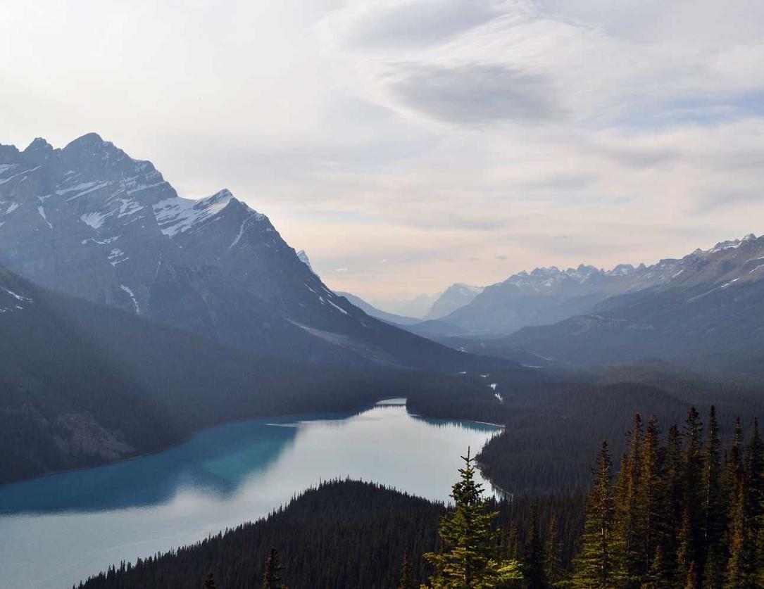 日免七星黑标(软):gopro app 中文详情下载教程