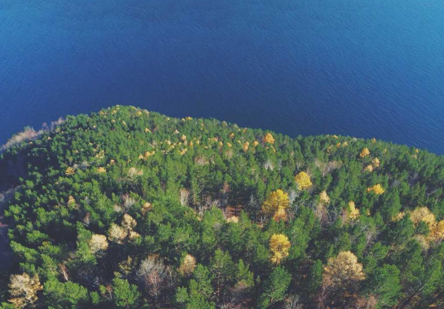 海信通信实名账号:流量卡未来发展趋势与国家政策等相关政策法规的关系