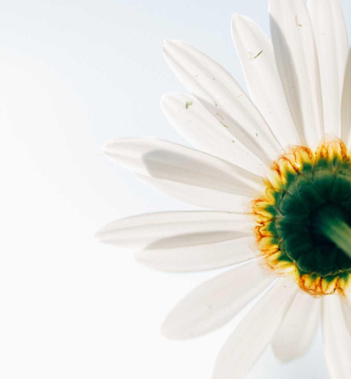 如何消除玩家在较高级别时遭受的技术支持攻击