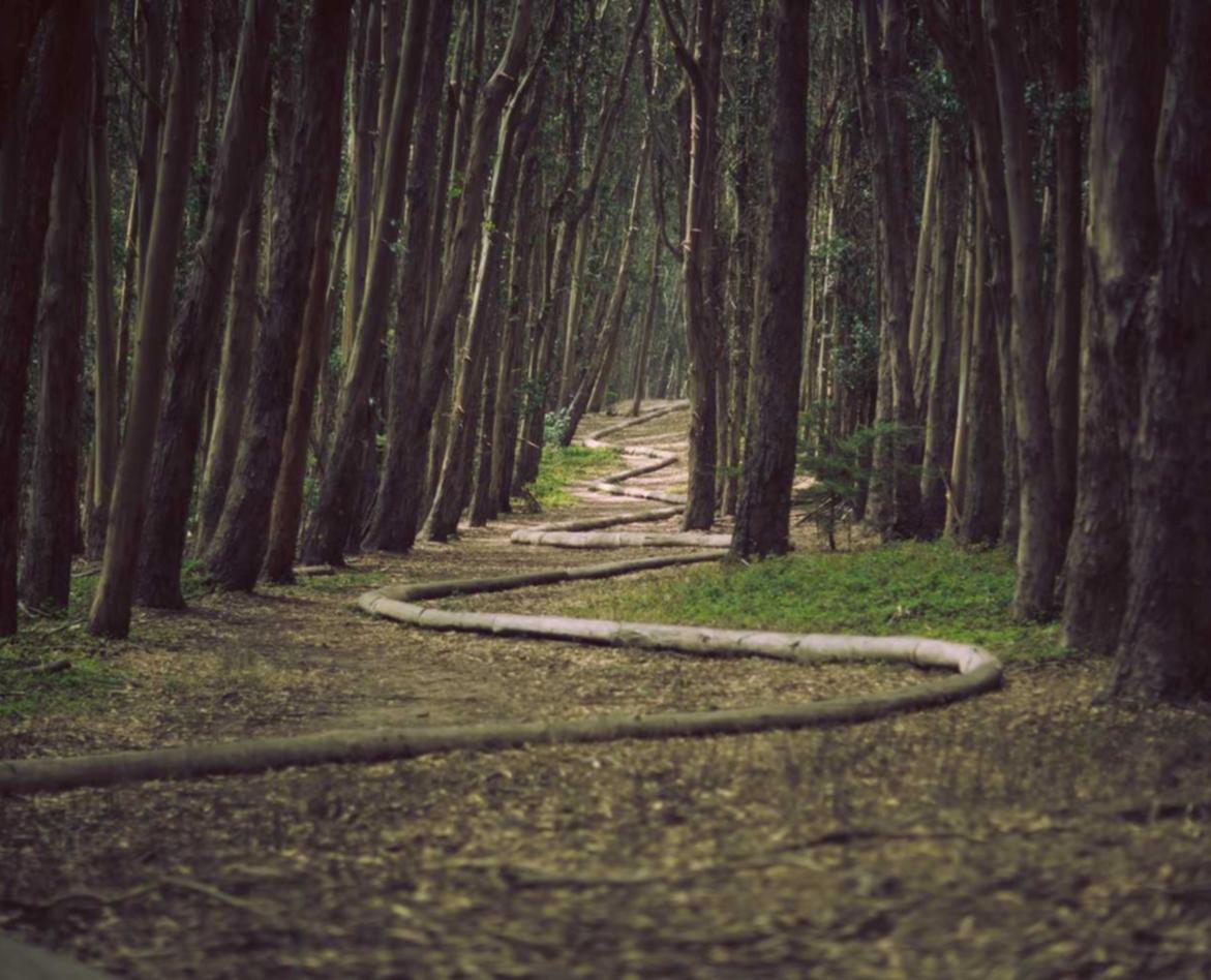 银龄卡实名账号：短信的字数限制：如何增加信息密度？