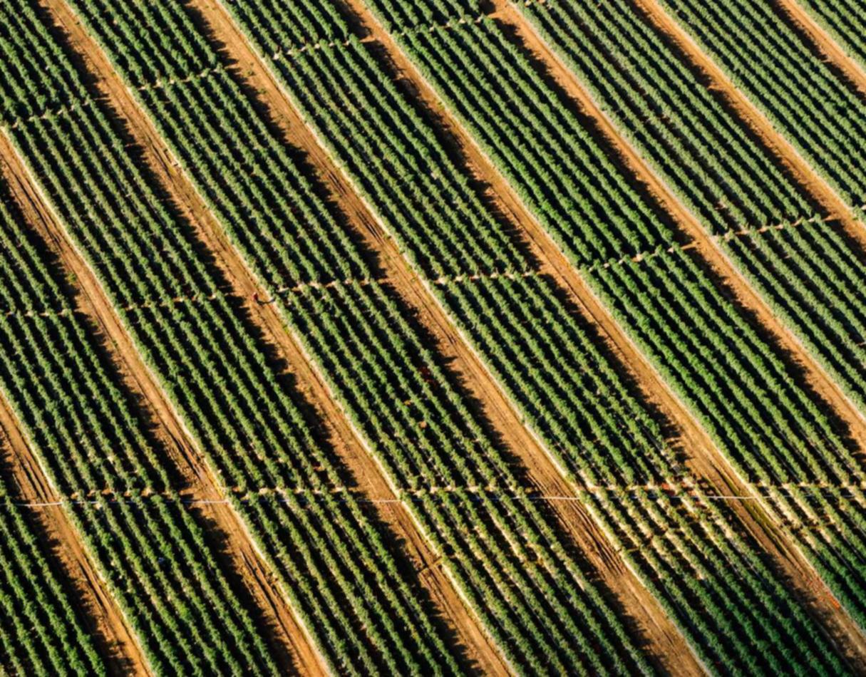 促销策略：如何吸引新客户并激励现有客户