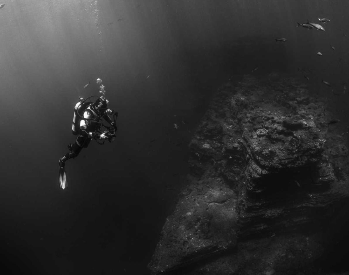 物语云实名账号:起始点APP详情下载教程