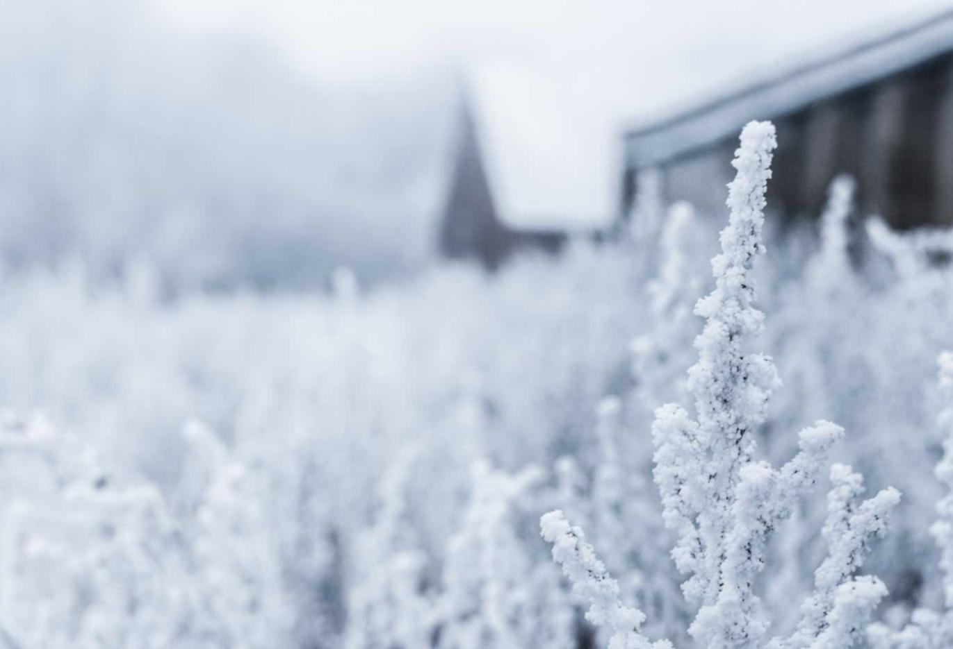 向日葵APP详情下载教程小说