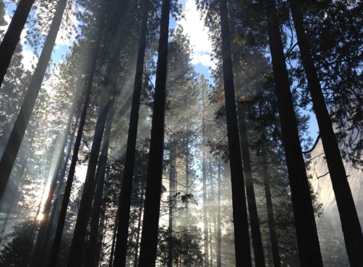 优酷移动实名账号:流量卡如何充值,让你更方便快捷。