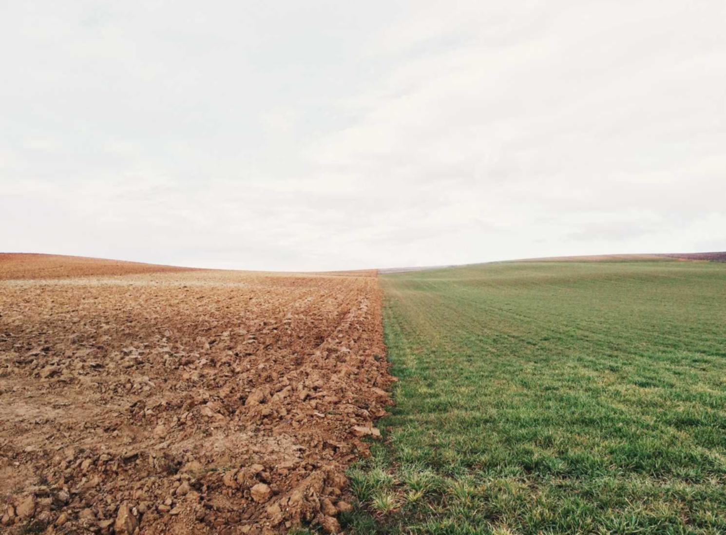 阿里云实名账号：哪个平台购买老酒