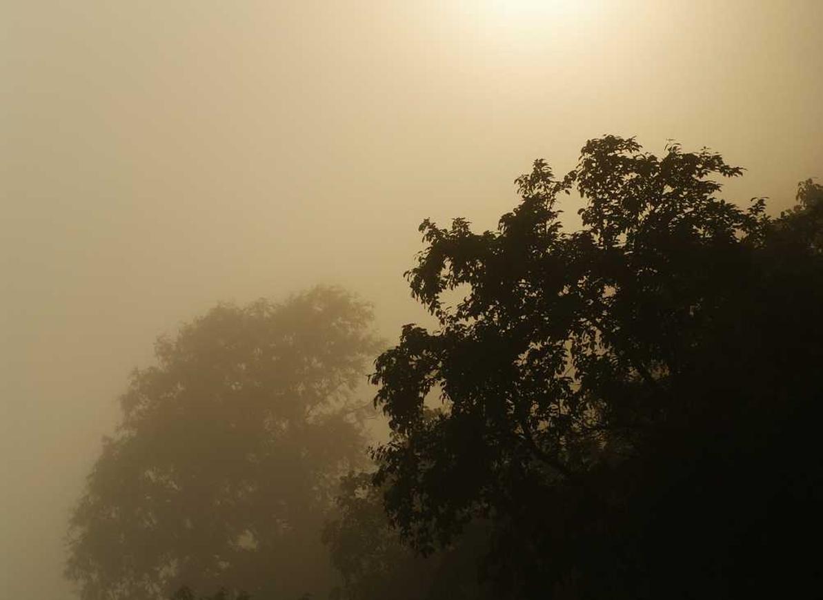 江湖悠悠：个人所得税app详情下载教程视频