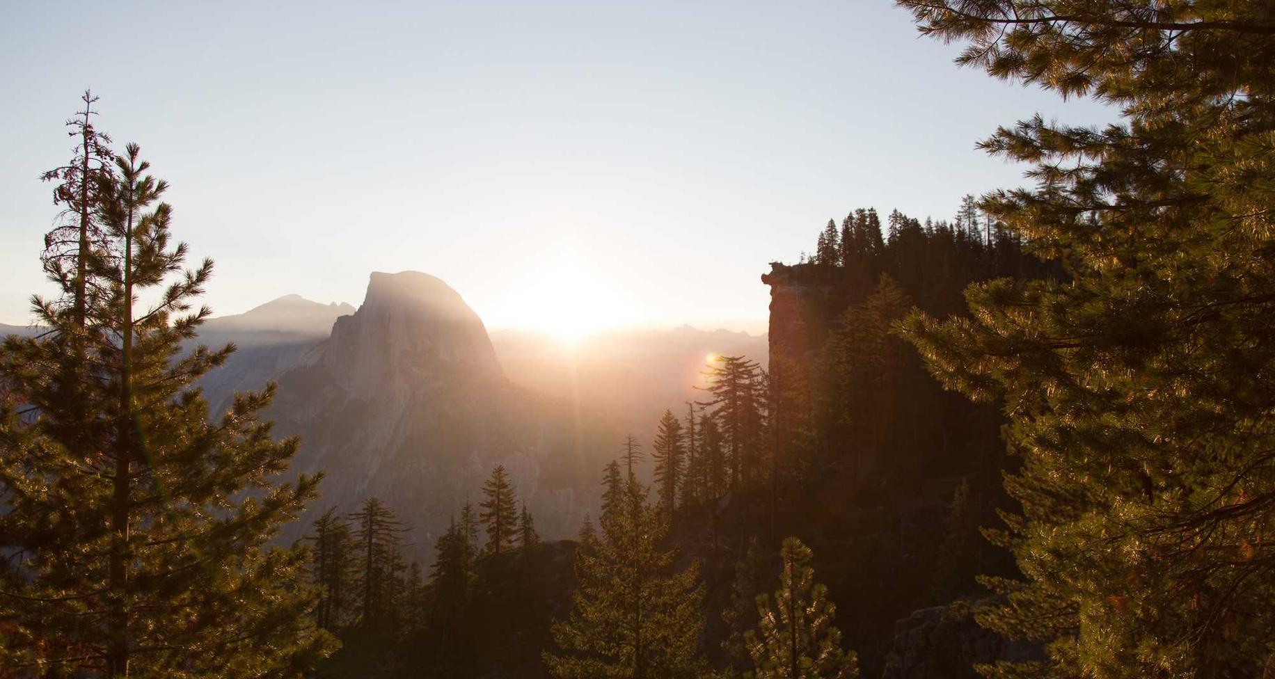 DogYun实名账号:红桥区代理注册新公司平台