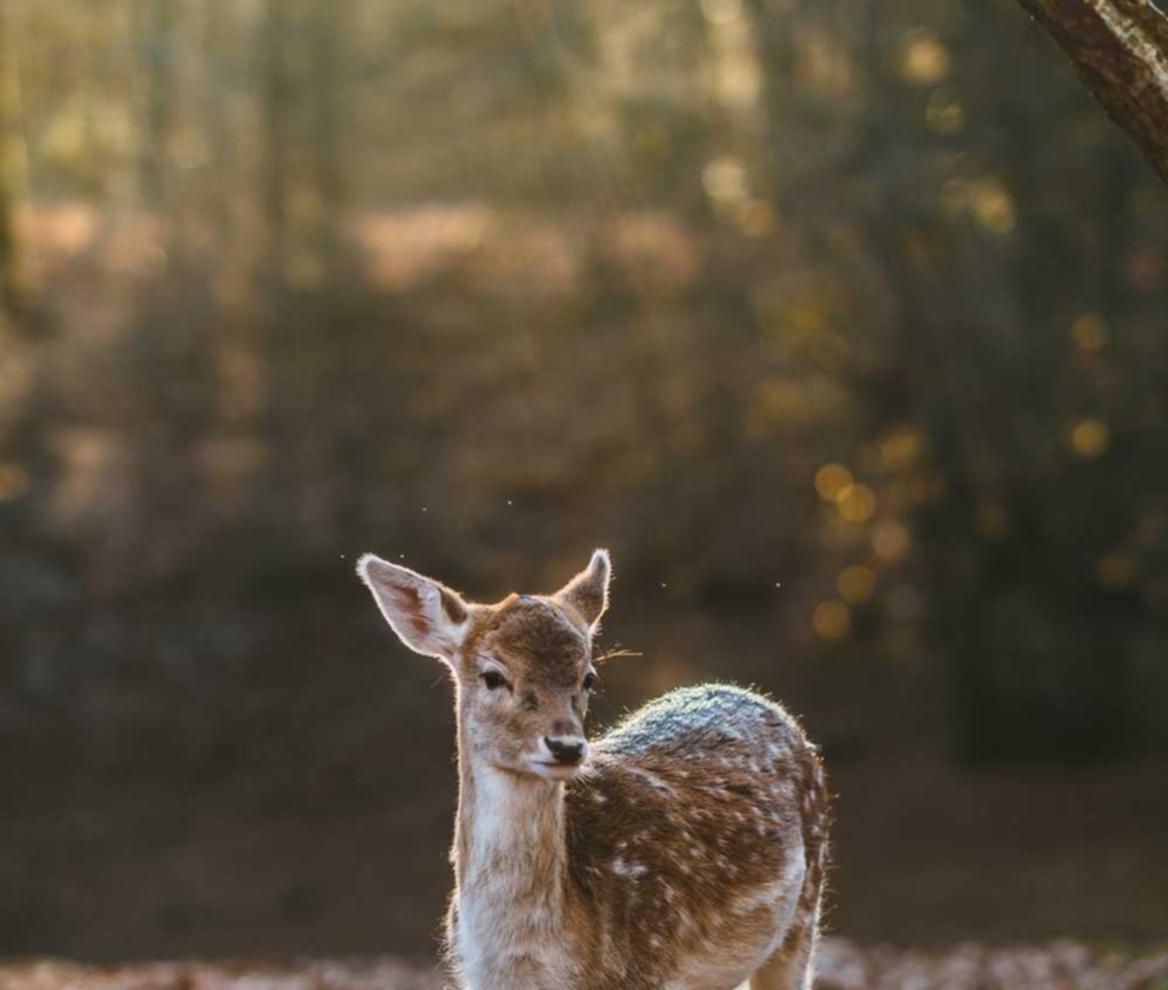 出售私人号微信- 黄金小平台代理