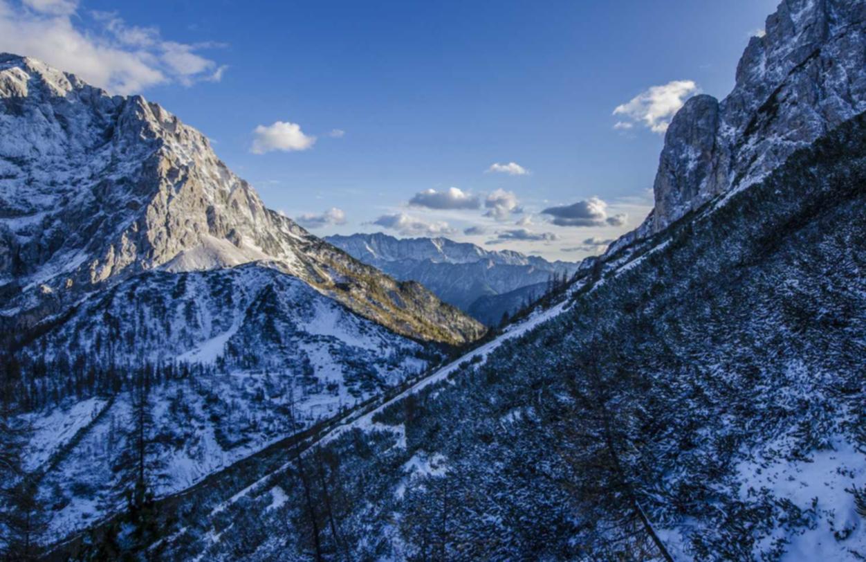 Peel百乐哈密瓜爆珠：伟德国际平台开户