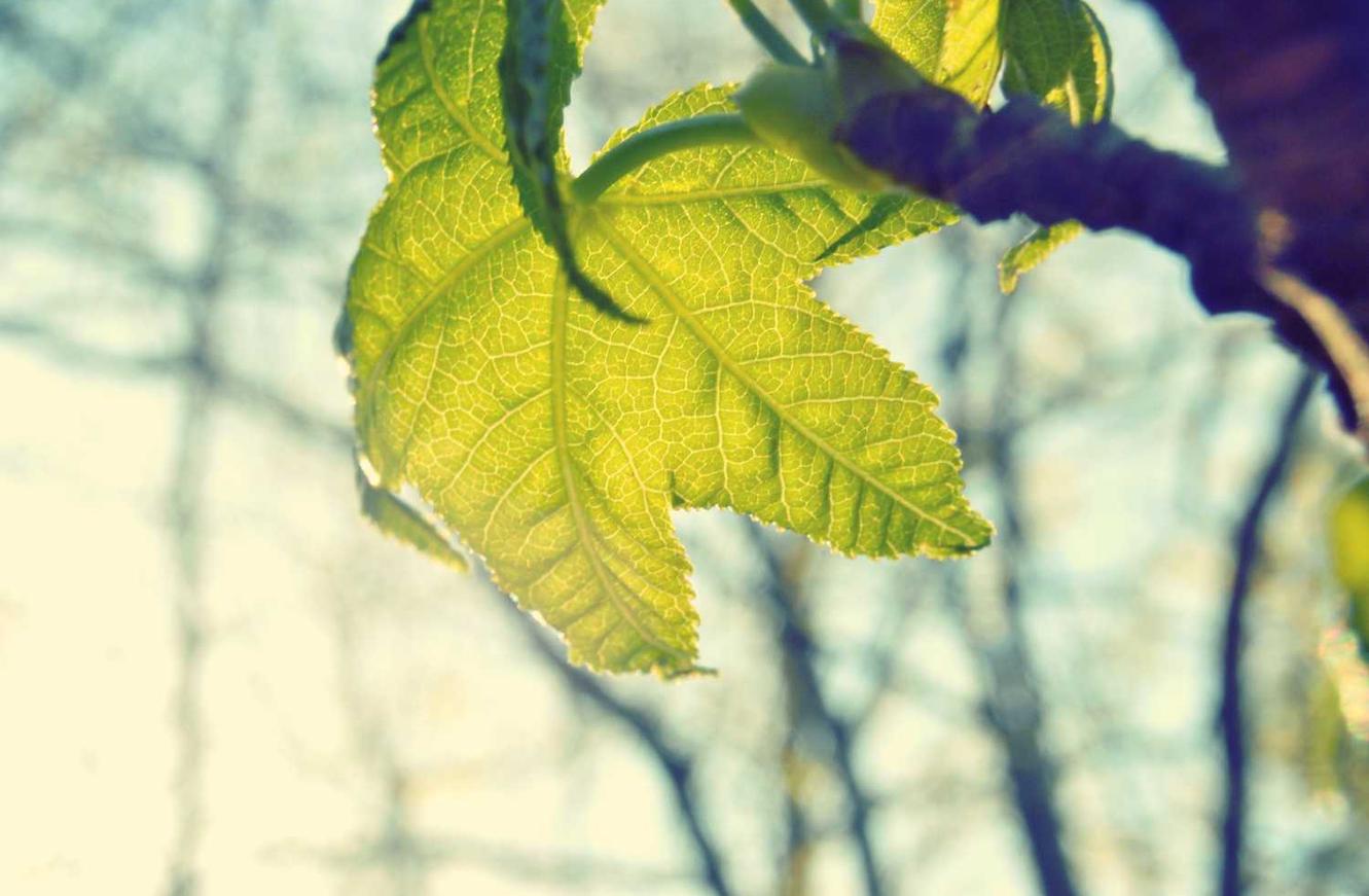 出各种微信号:短信读取率稳定提升!马上推广你的品牌