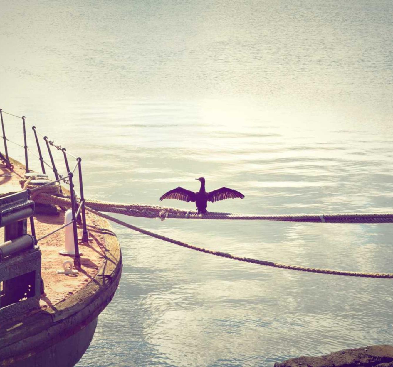 CC在线压力测试|如何防止在社交媒体上遭受黑客攻击