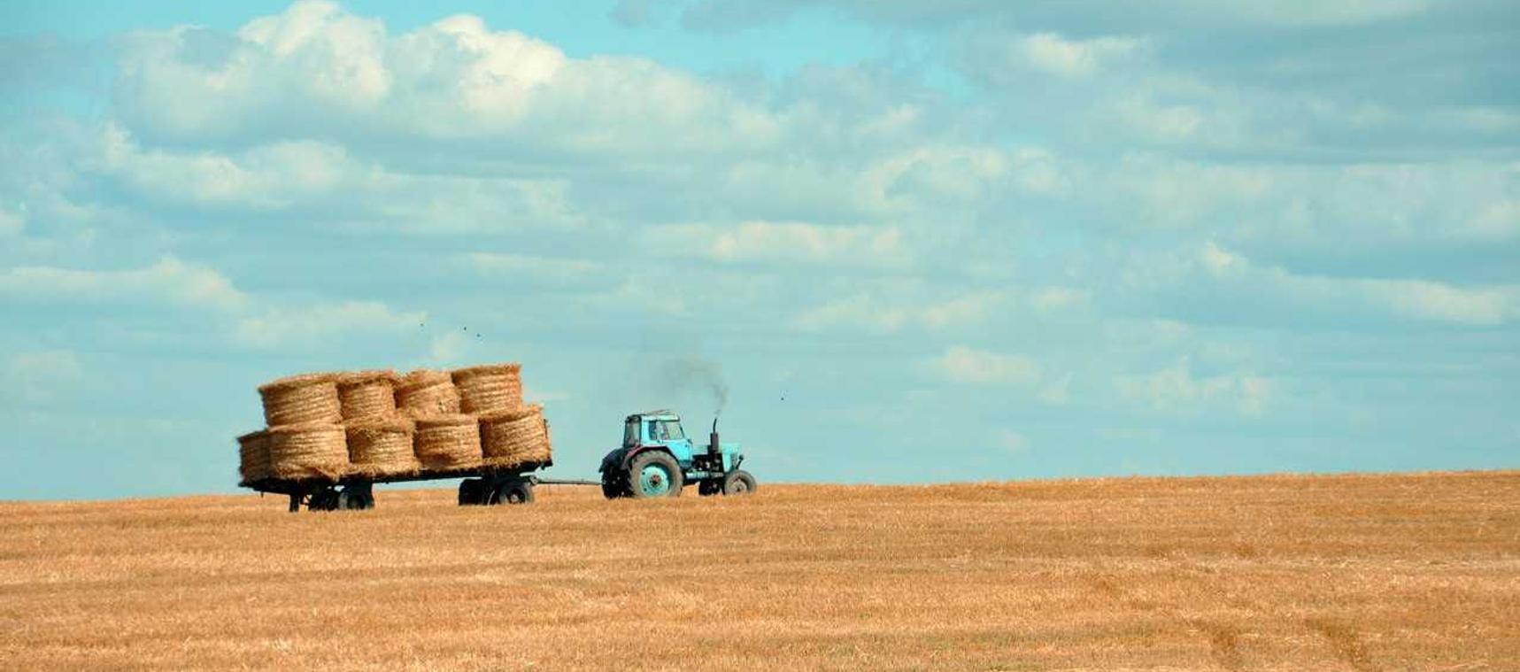 最强NBA:荆州蔬菜购买平台