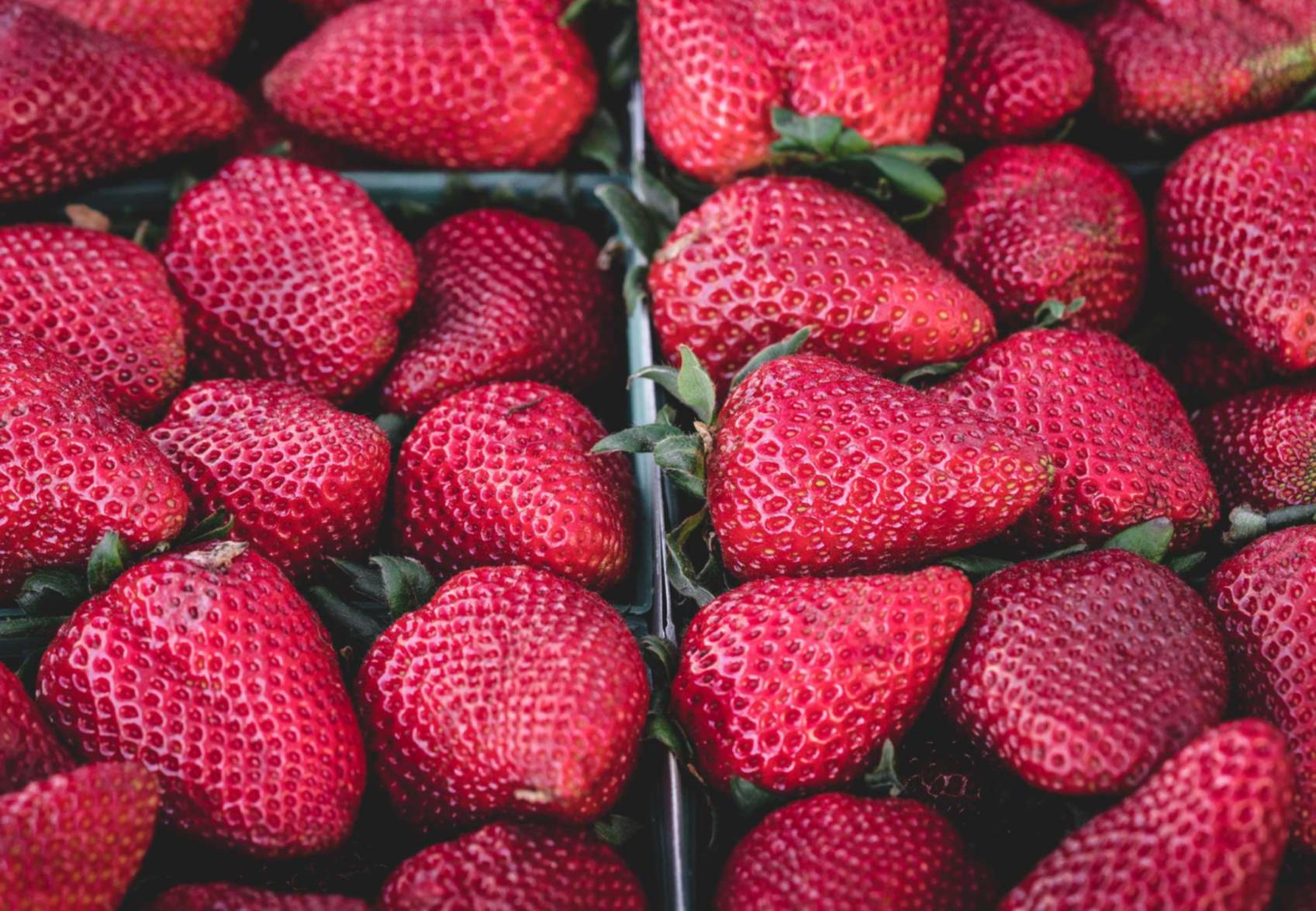 人脸实名账号:科创汇app详情下载教程