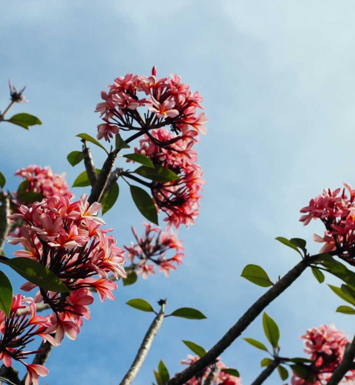 如何使用验证网站提高SEO 