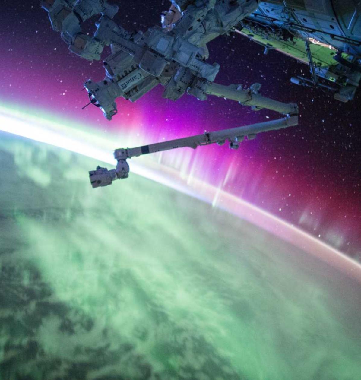 syn攻击|如何应对黑客攻击后的紧急处理和恢复工作