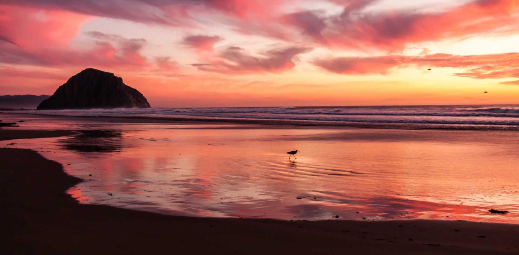 伊对实名账号：新平台旋转平台代理