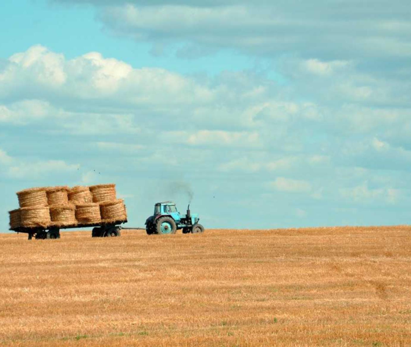 海信通信实名账号:螺蛳粉平台代理