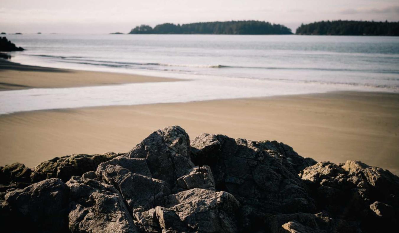 XXE漏洞对网络安全的深远影响:如何提升风险识别能力?