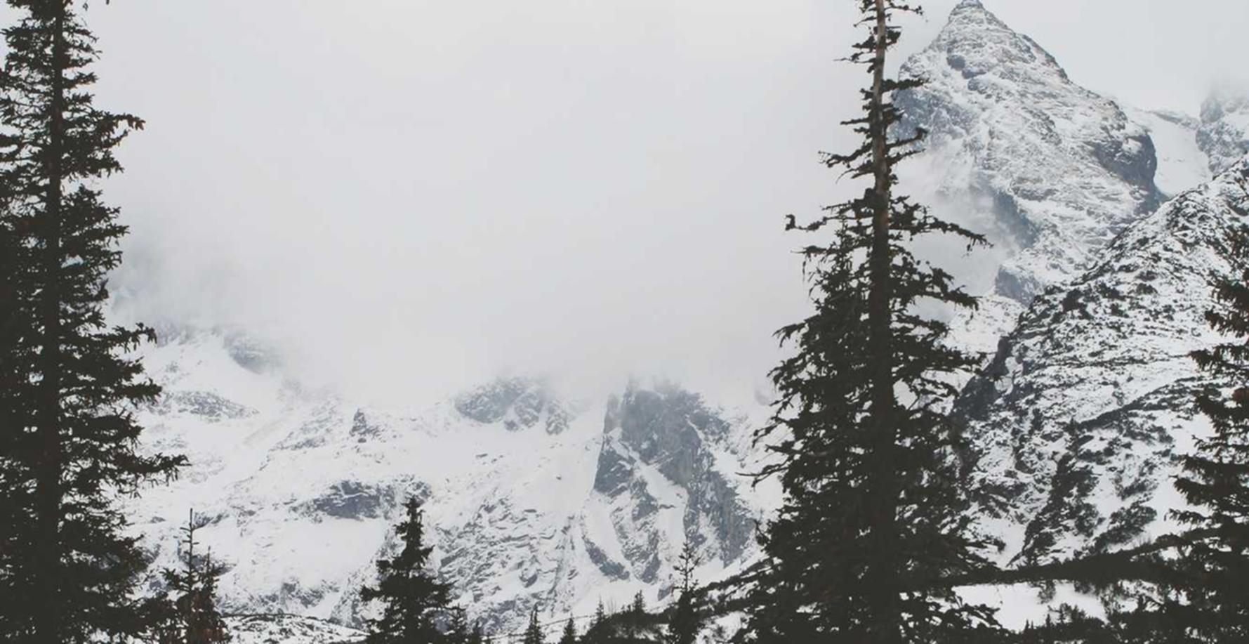 兔子ip实名账号：苹果支付app详情下载教程