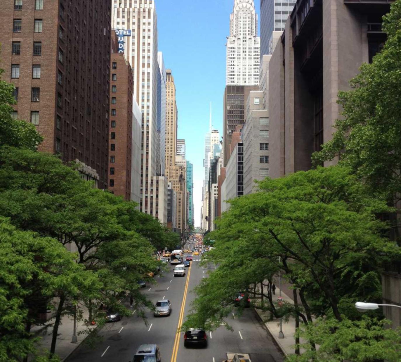 话机通信实名账号：大思英语app官网详情下载教程