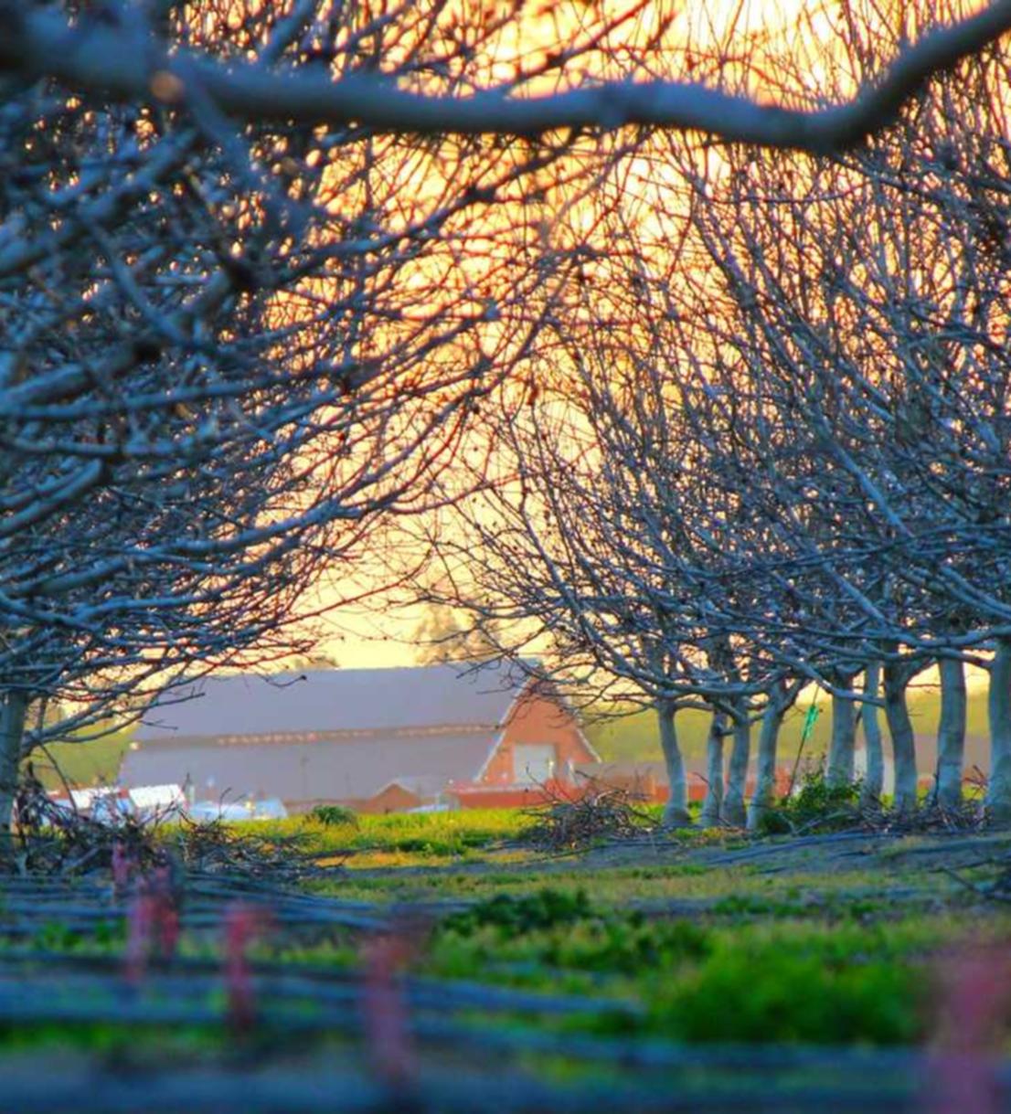 eSIM卡实名账号：天津多平台小程序代理商