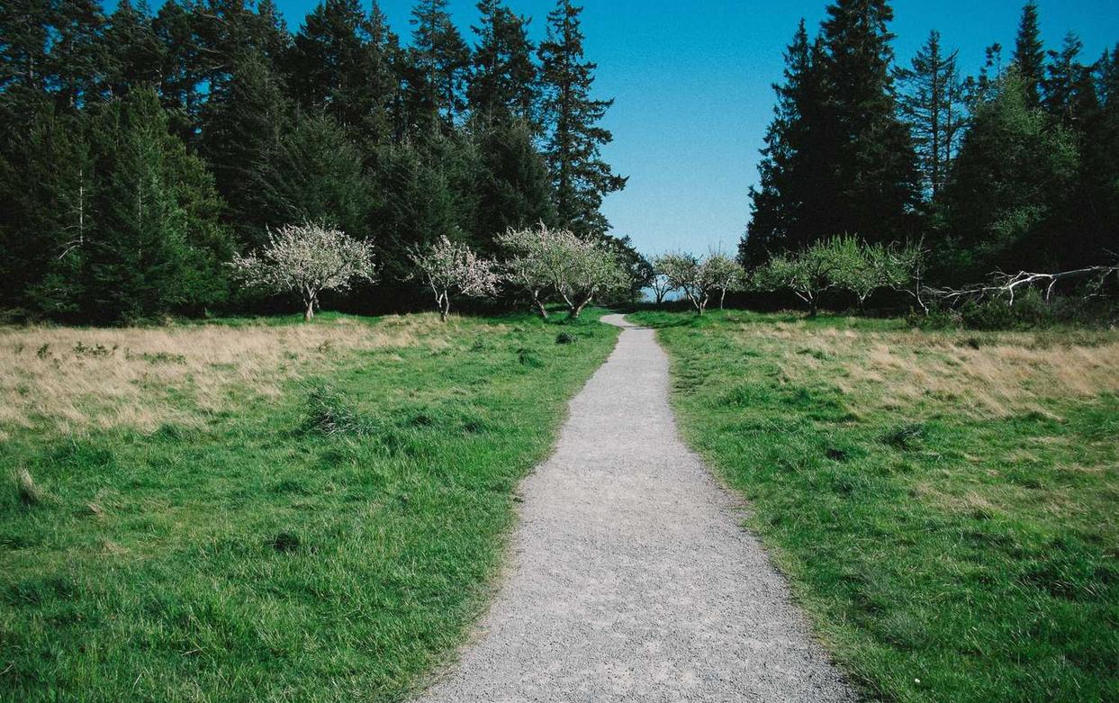 桃花源记2：玛瑙染料购买平台